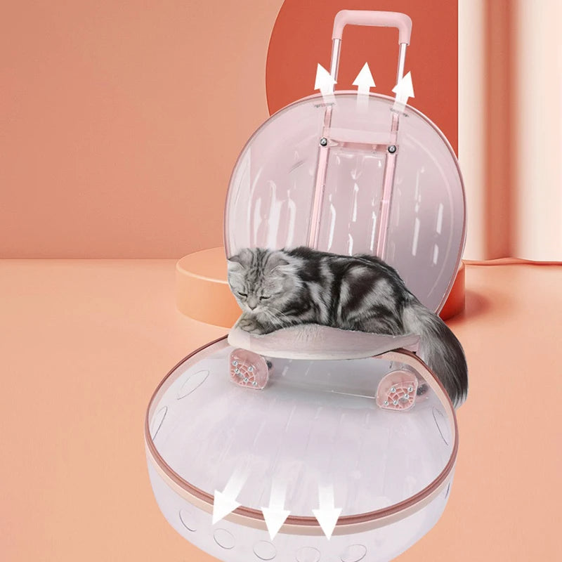 Cat Trolley Box