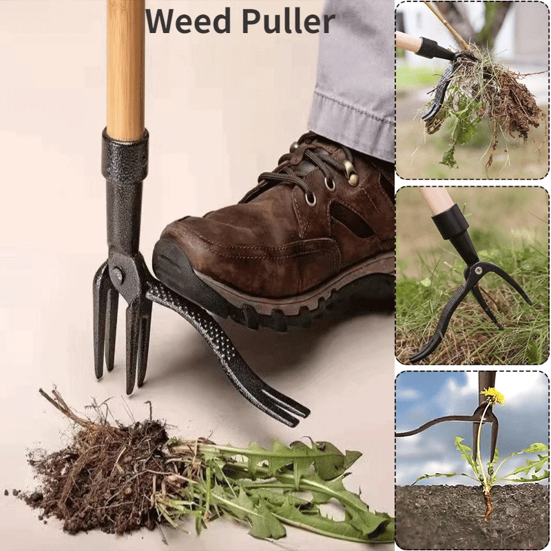 New Detachable Weed Puller