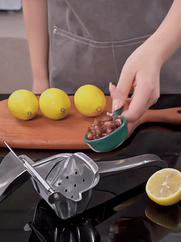 Stainless Steel Manual Fruit Juicer