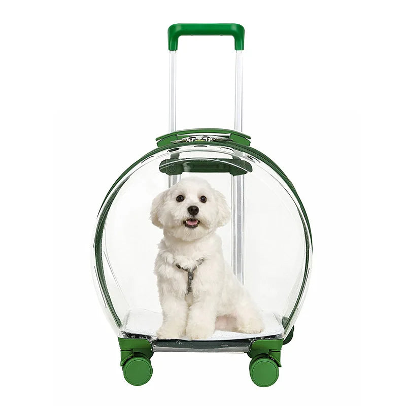 Cat Trolley Box