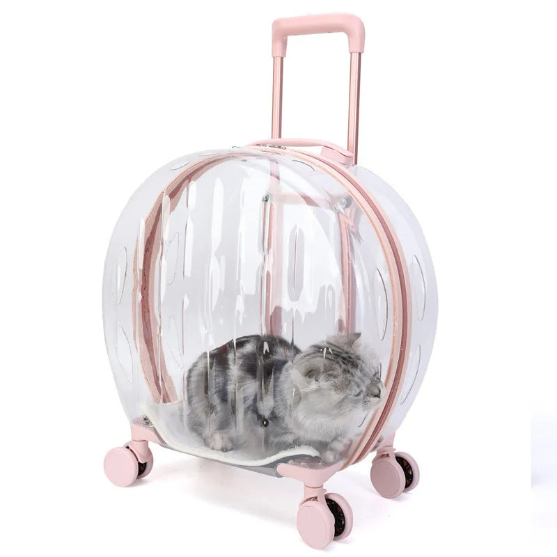 Cat Trolley Box