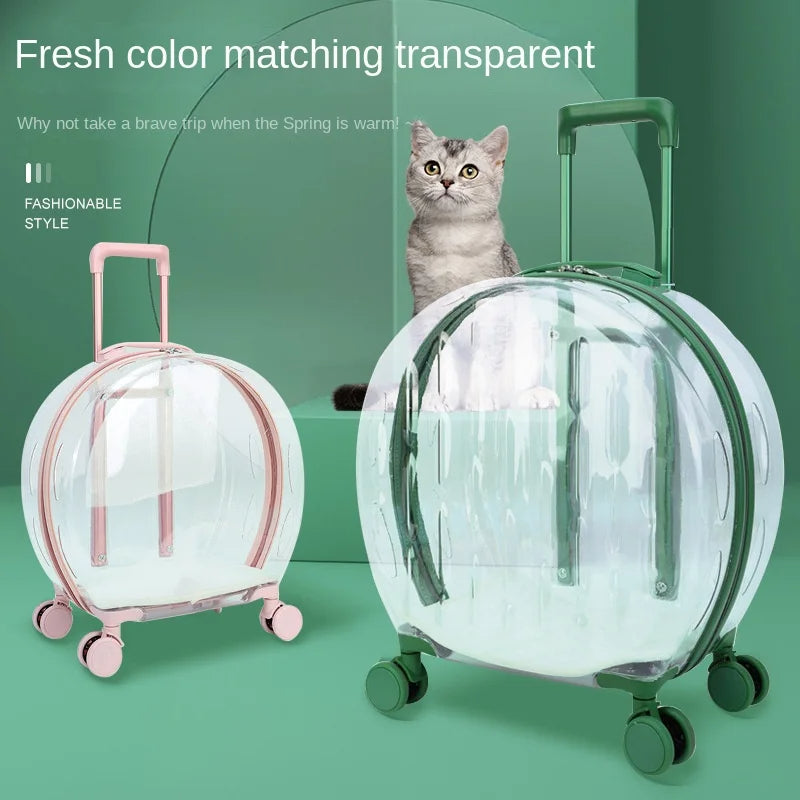 Cat Trolley Box