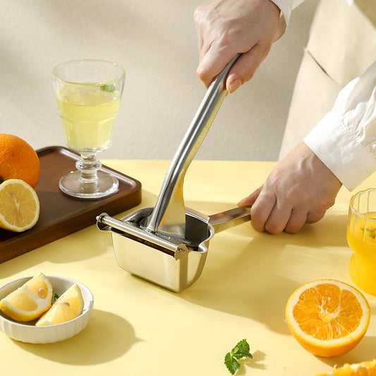 Stainless Steel Manual Fruit Juicer