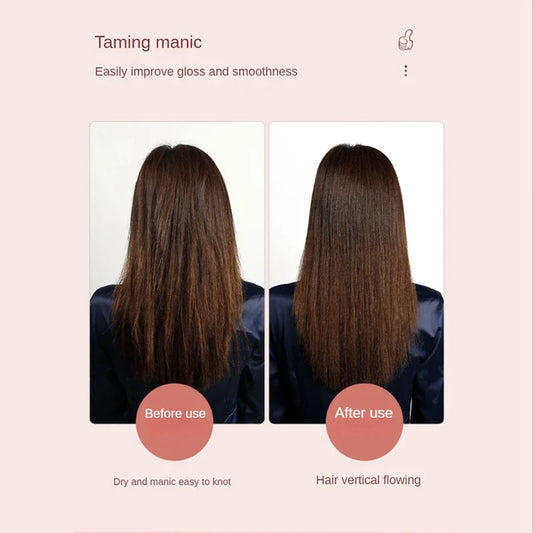 2-in-1 Portable Hair Styler