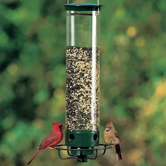 🔥SAVING 70%OFF 🔥quirrel-Proof Bird Feeder - SAVVY LUXE